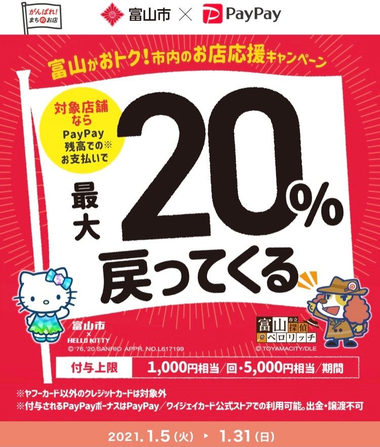 paypaycampaigntoyama.jpg